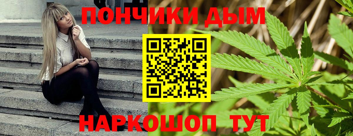 Каннабис ГИДРОПОН Кузнецк